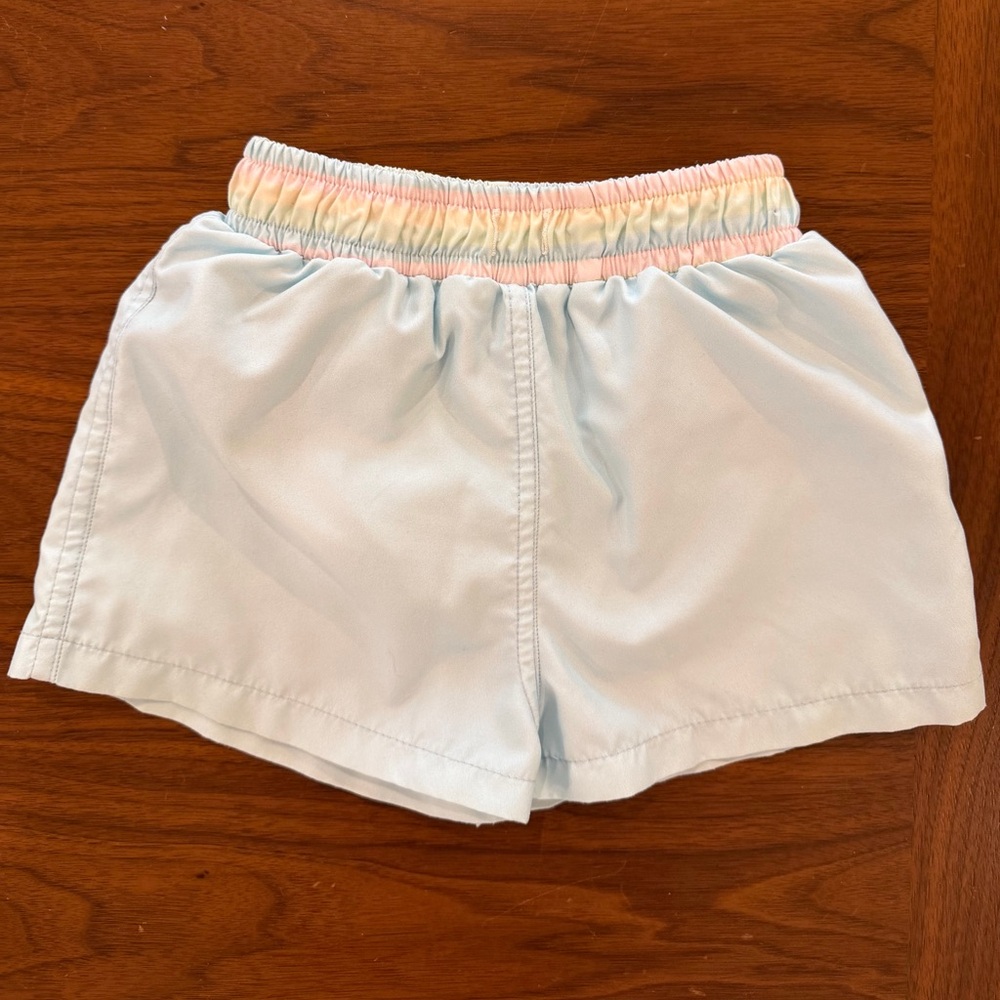 Light Blue Sal and Pimenta Boys Swim Trunks Size 2T